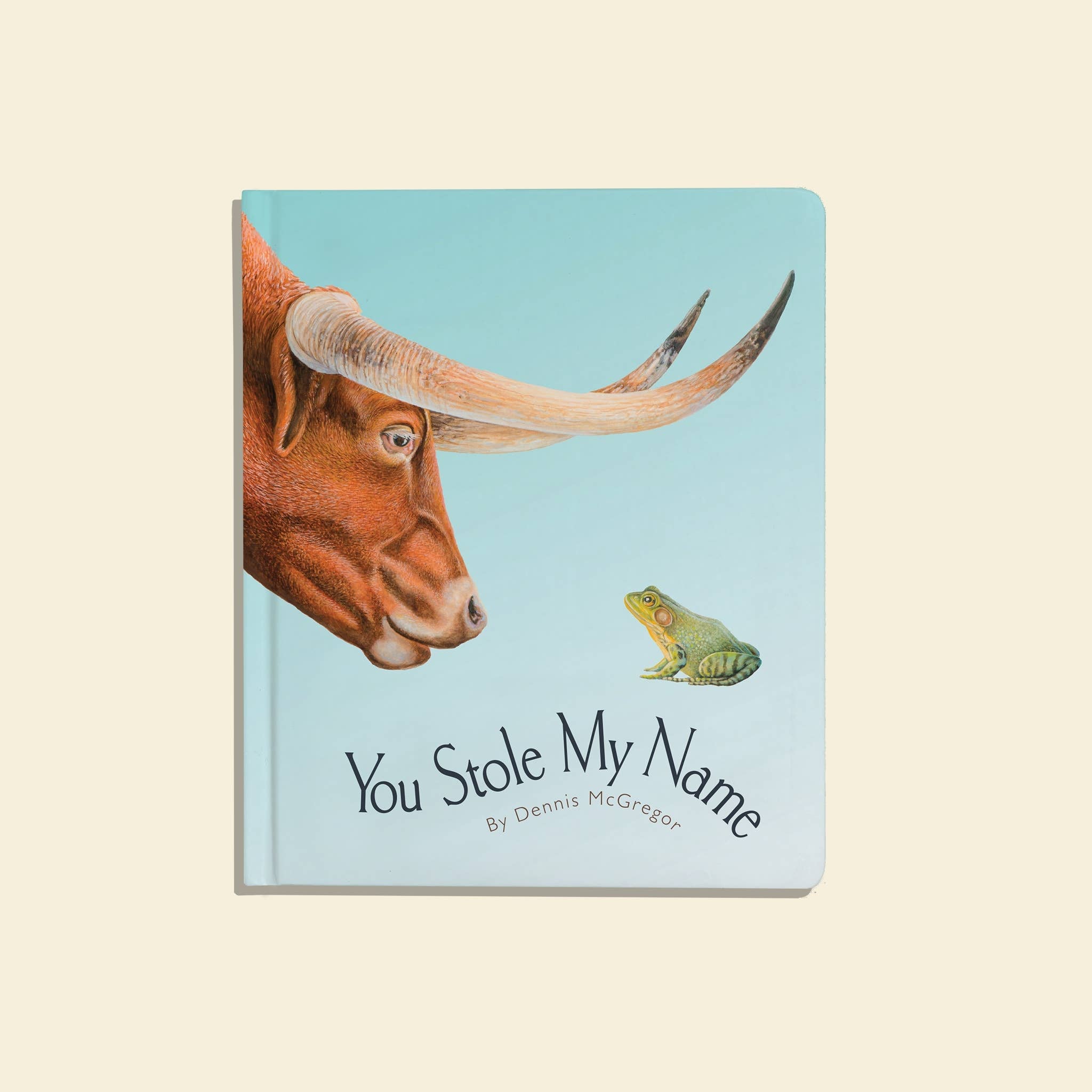 You Stole My Name: A Stocking Size Board Book for Baby