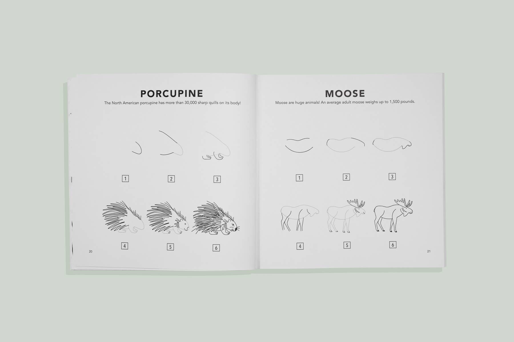 Mushrooms & Woodland Creatures: Kids How to Draw Book