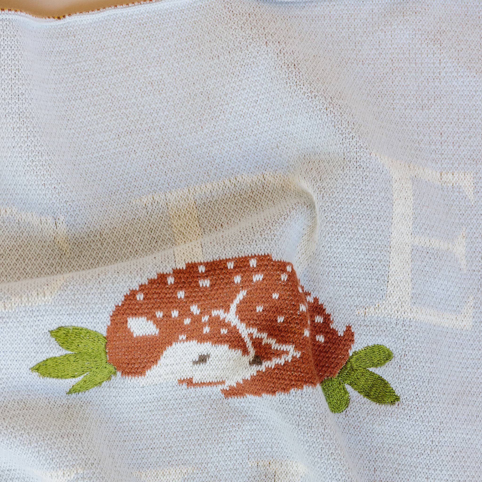 ABC Woodland Blanket Baby Organic Cotton Back to School Kid