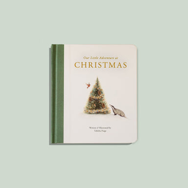 Our Little Adventures at Christmas