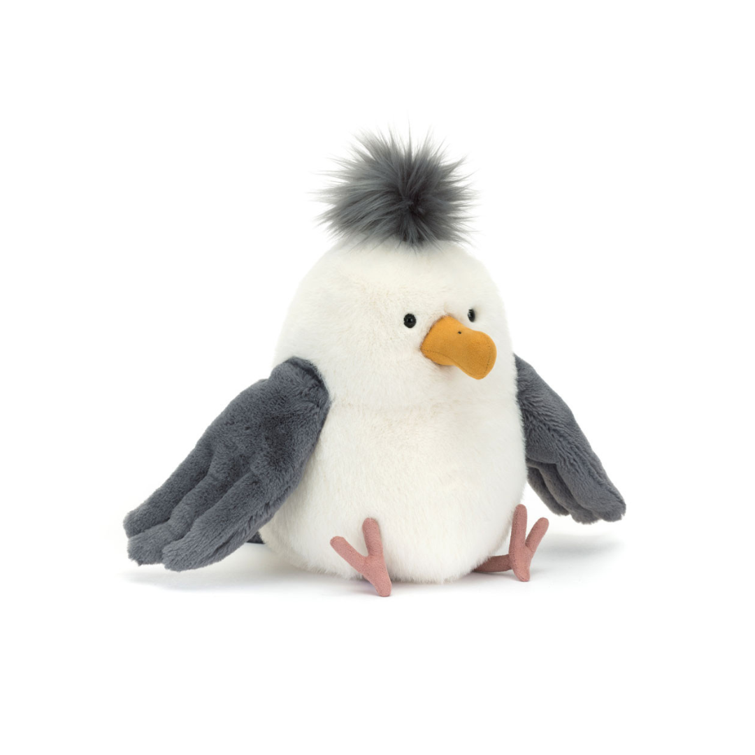 Chip Seagull