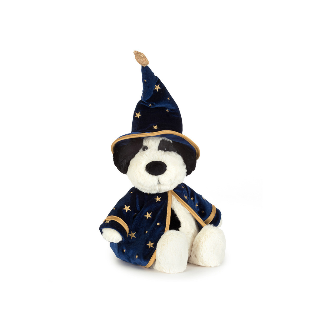 Rufferty Puppy Wizard Outfit