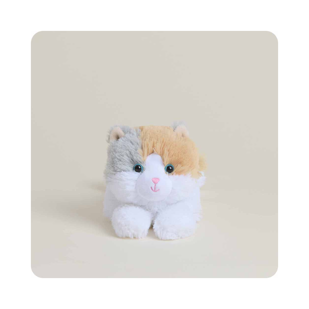 Calico Cat Warmies Junior