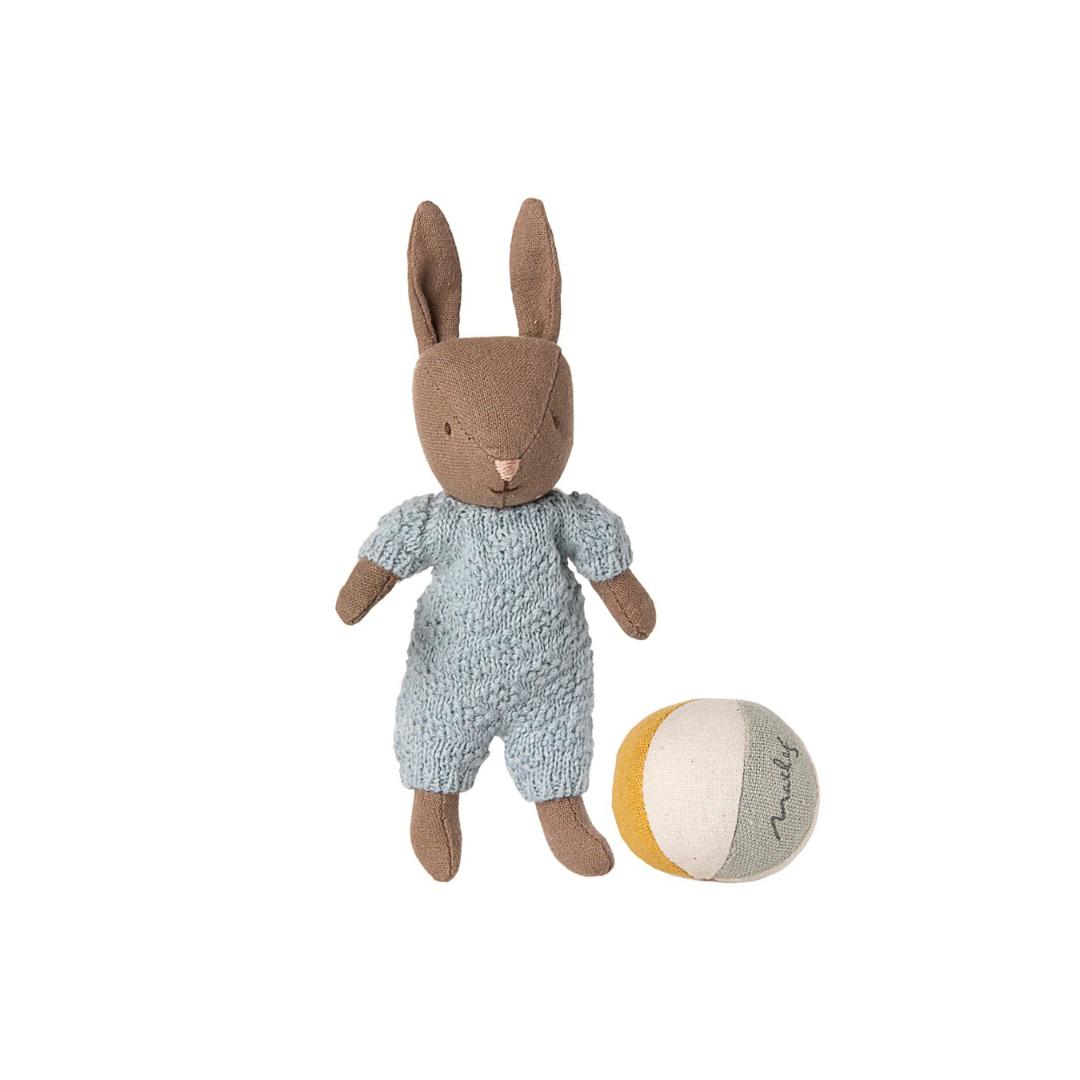 Brown Micro Rabbit Set, Blue