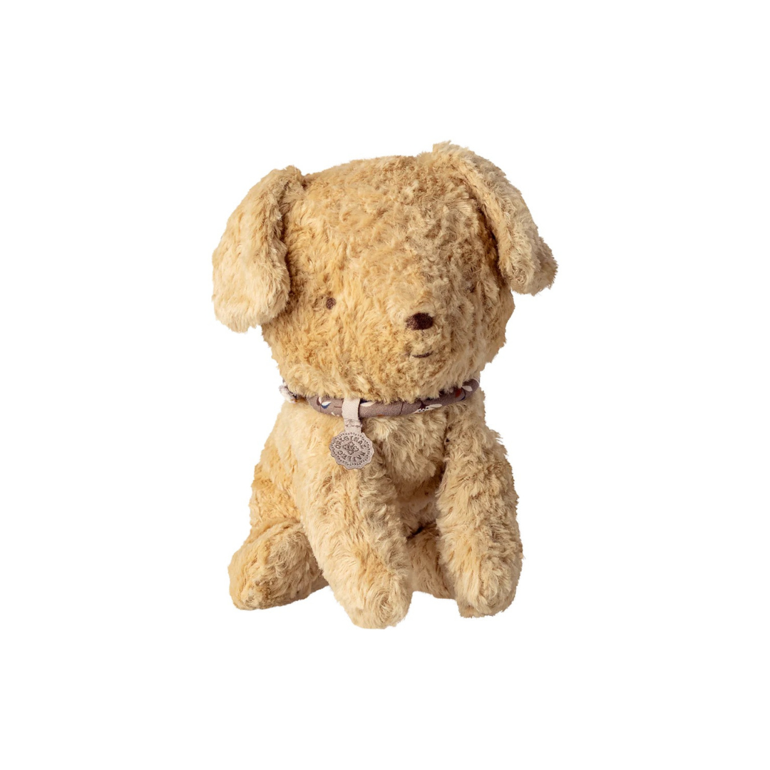 Puppy Small Soft Sand