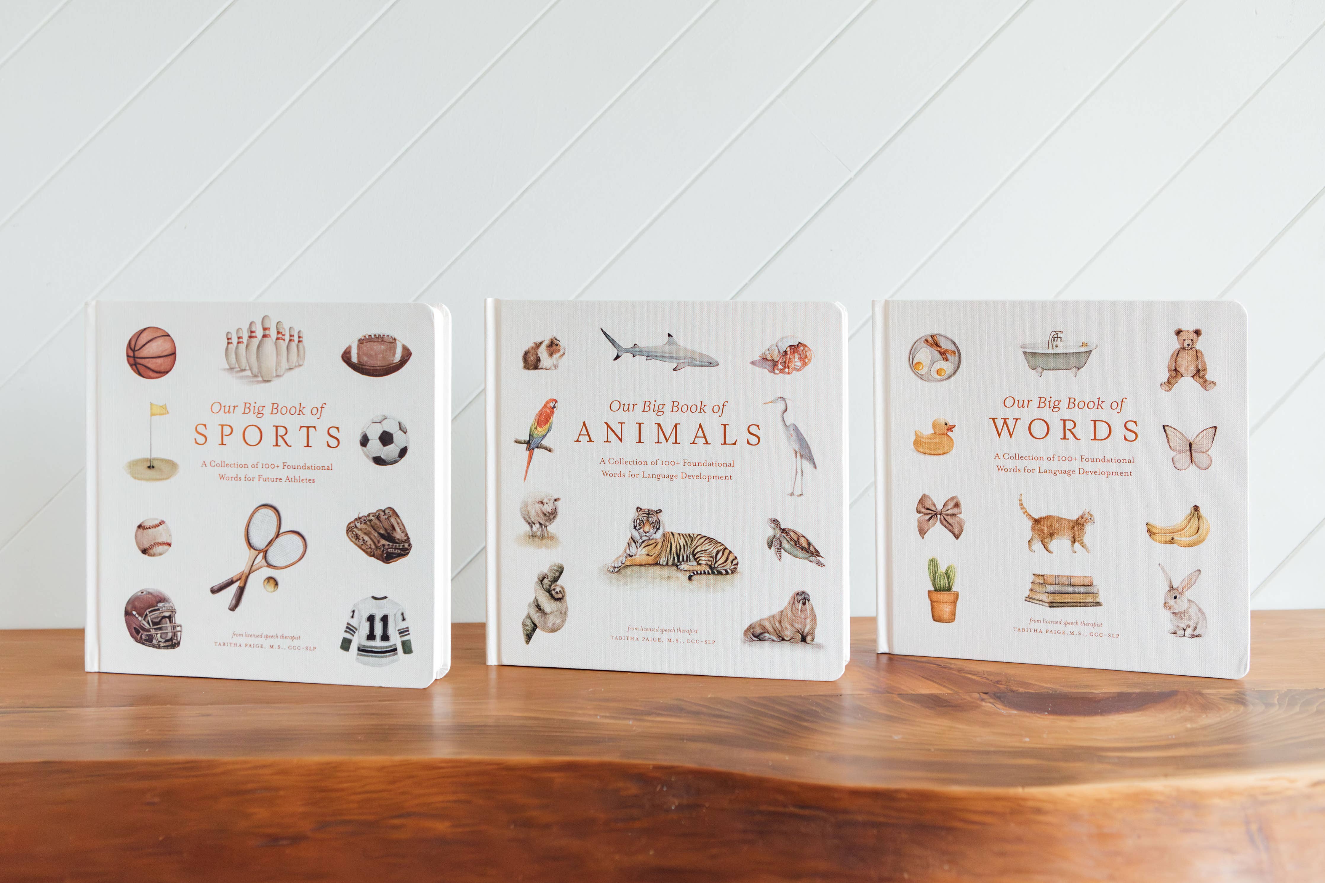 Our Big Book of Animals (Board Book)