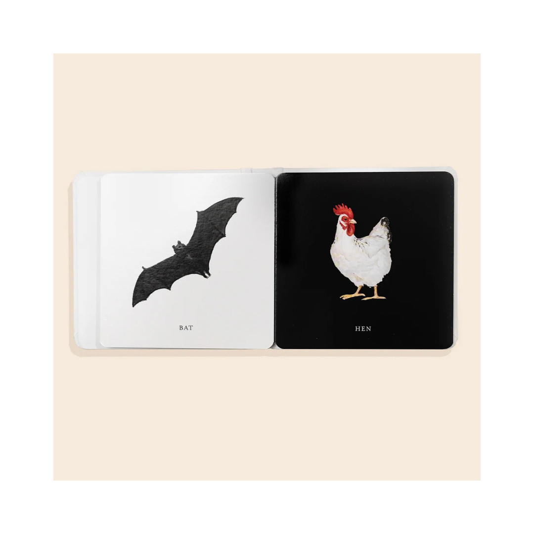 Black & White Contrast Book For Baby