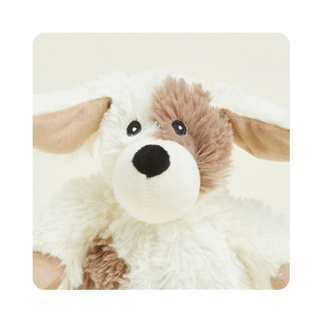 Junior Warmies Puppy