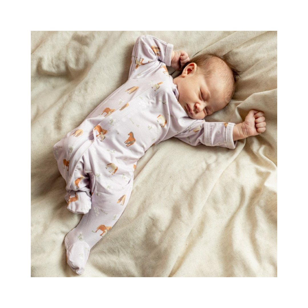 Lavender Ponies Footie