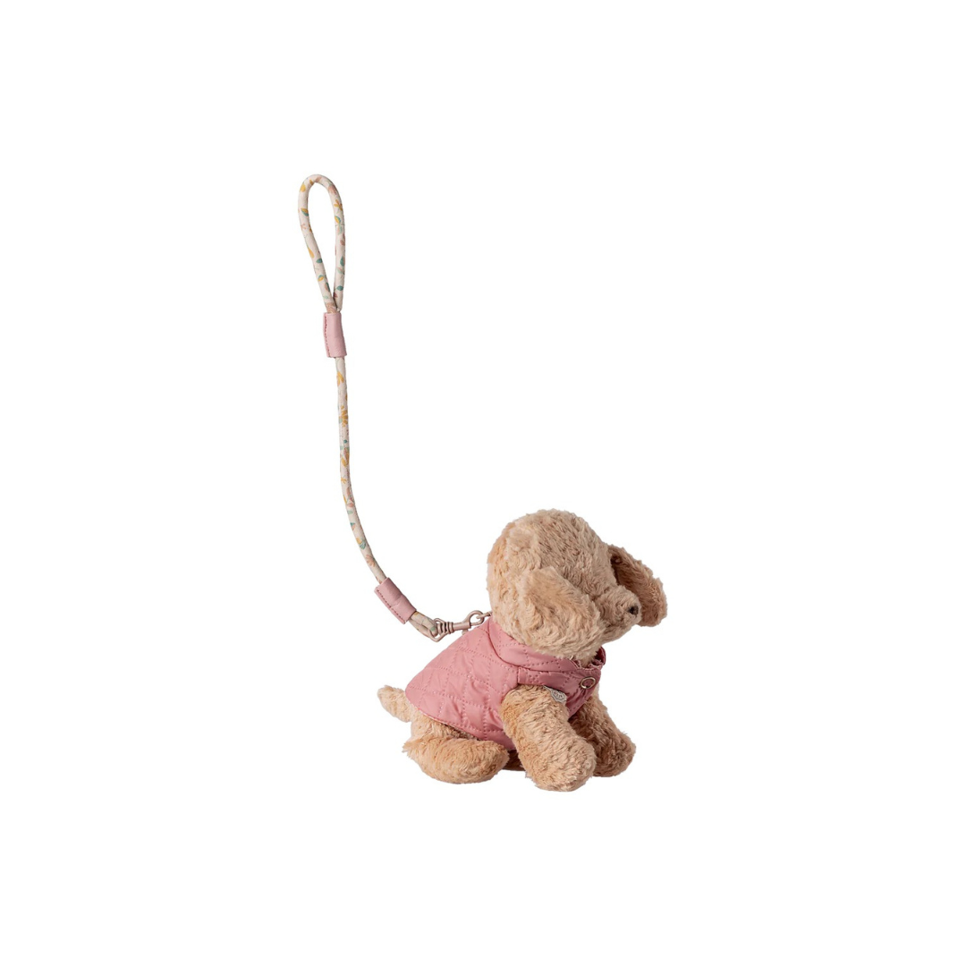 Pet Supply Harness and Leash Rose