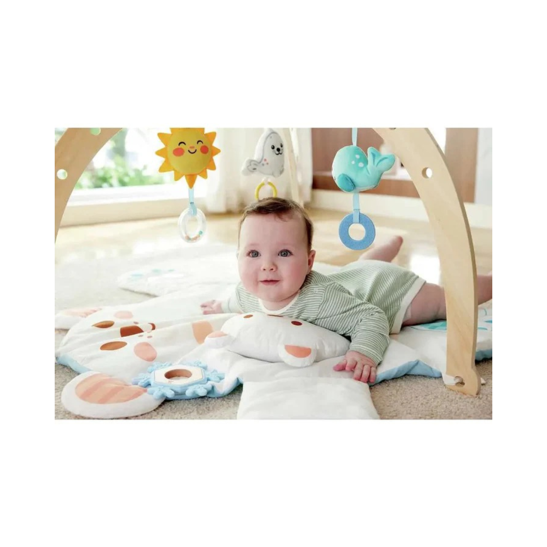 Snuggle Bear Activity Gym