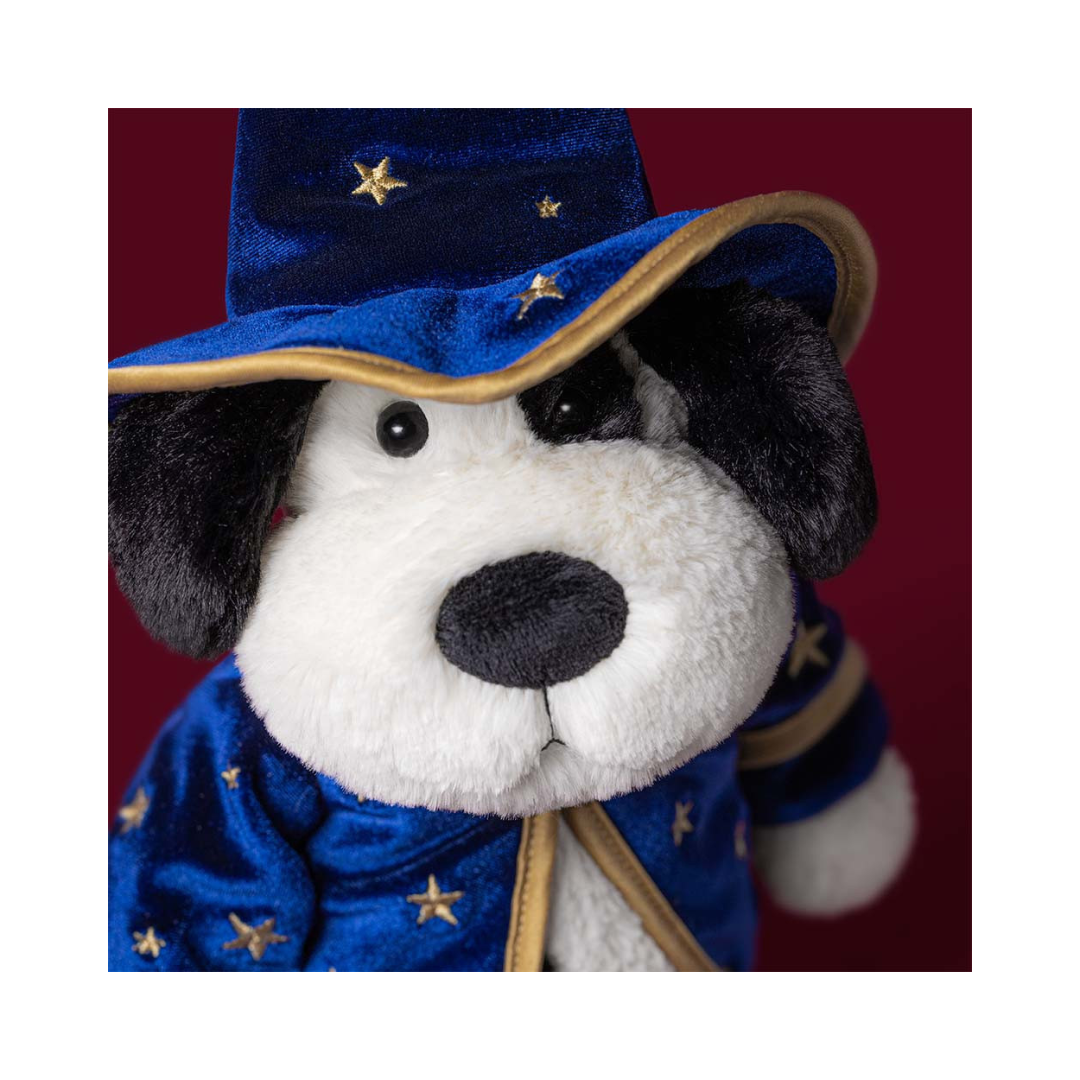Rufferty Puppy Wizard Outfit