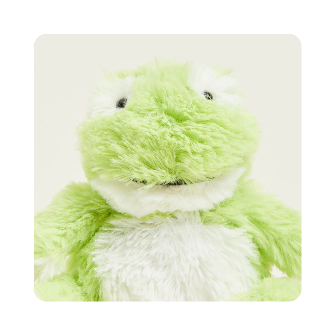 Frog Warmies Junior