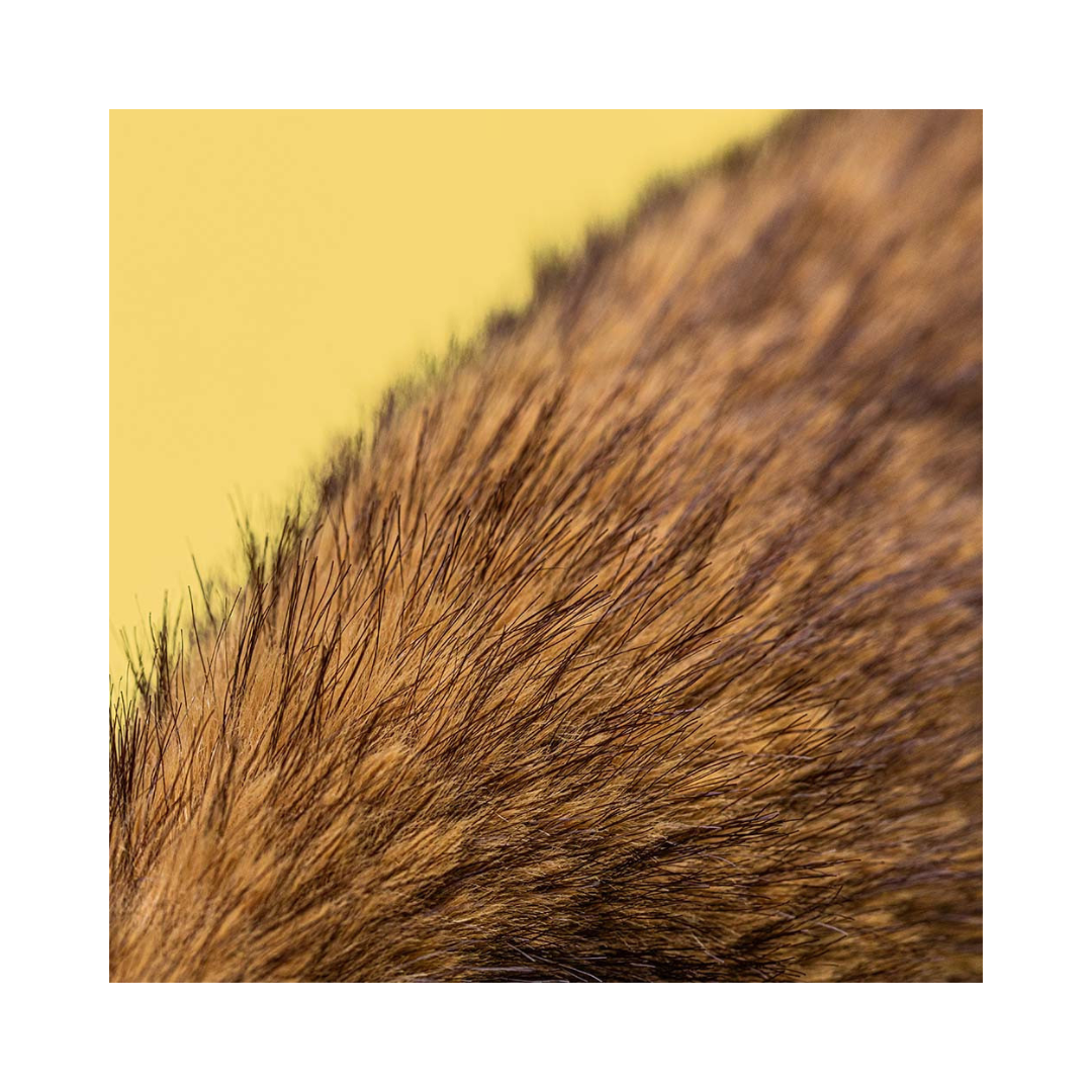 Hoppleston Luxe Bunny Original