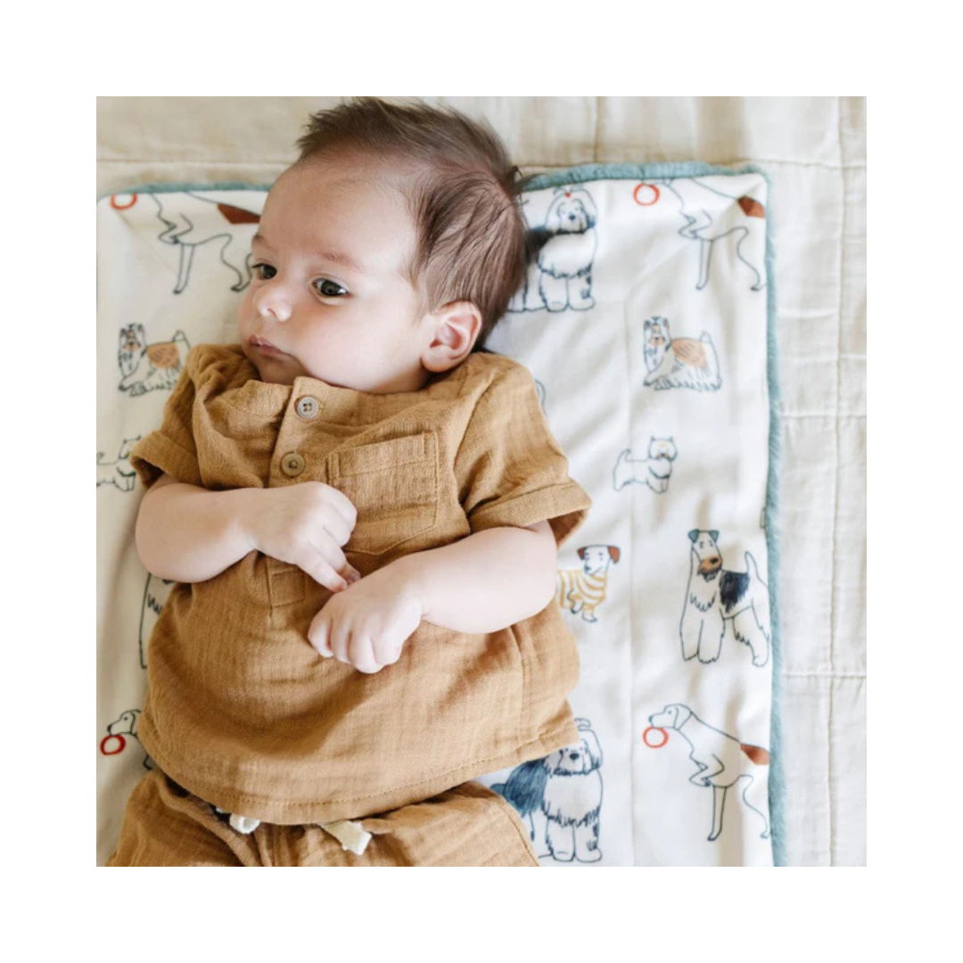 Dog Minky Lush Receiving Blanket 30x40