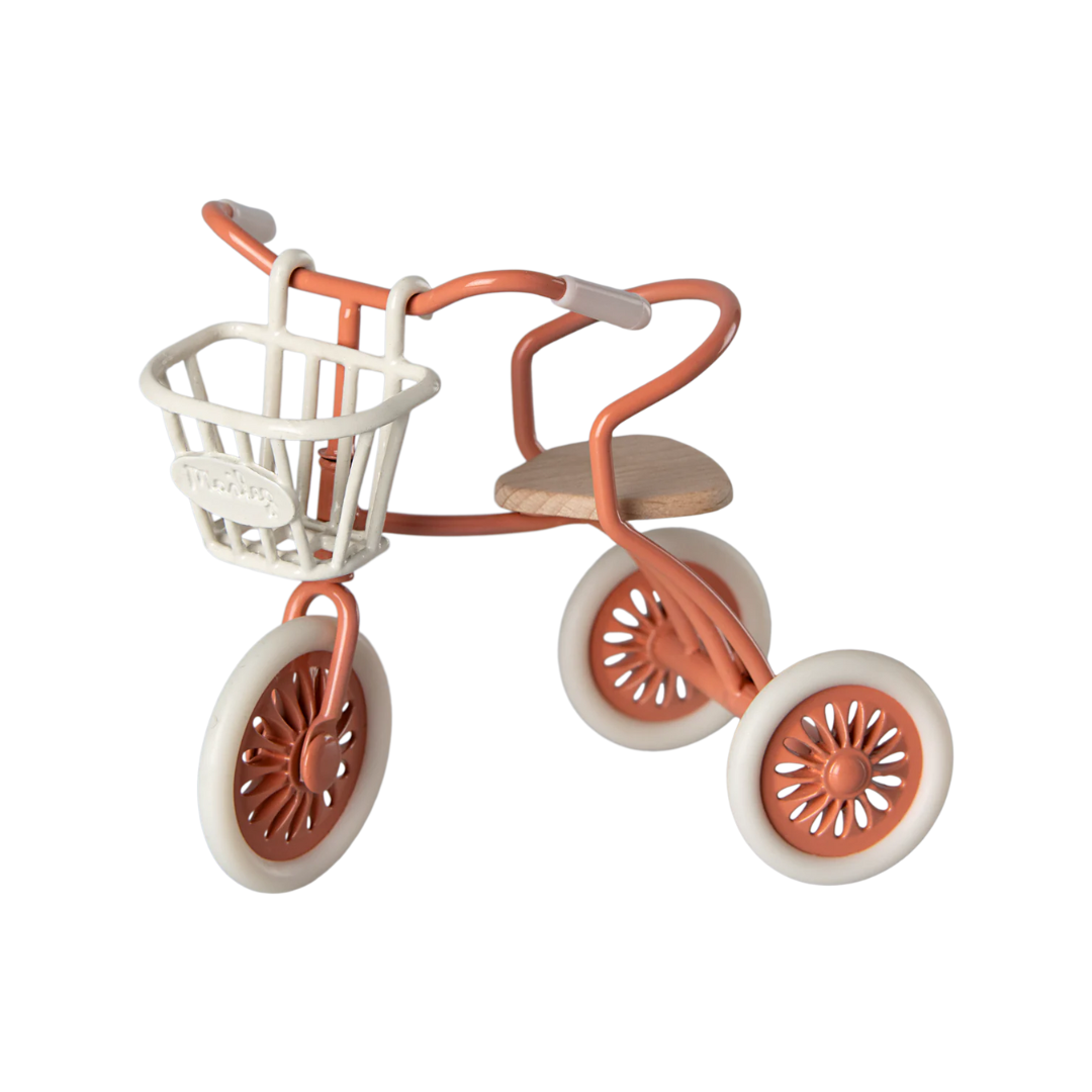 Tricycle Basket