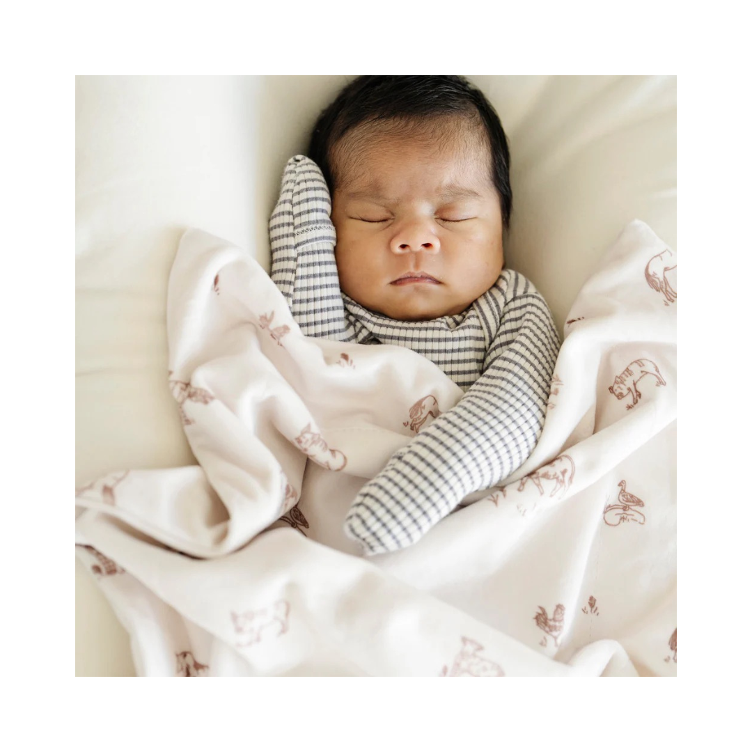 Farm Animals Minky Stretch Mini Blanket