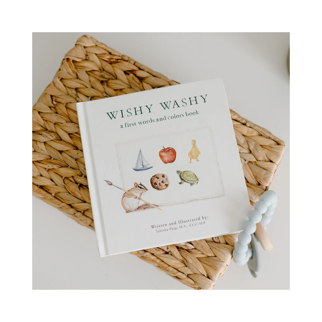 Wishy Washy First Words & Colors