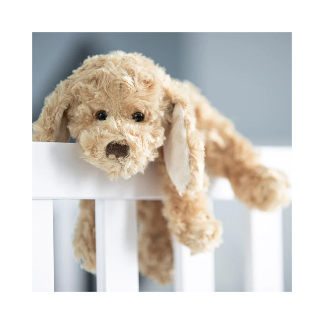 Buddy Puppy