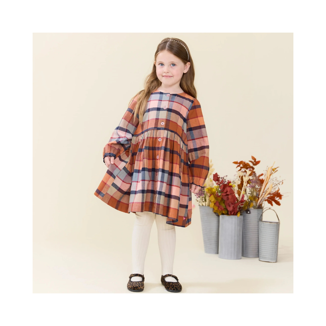 Hayride Plaid Dress