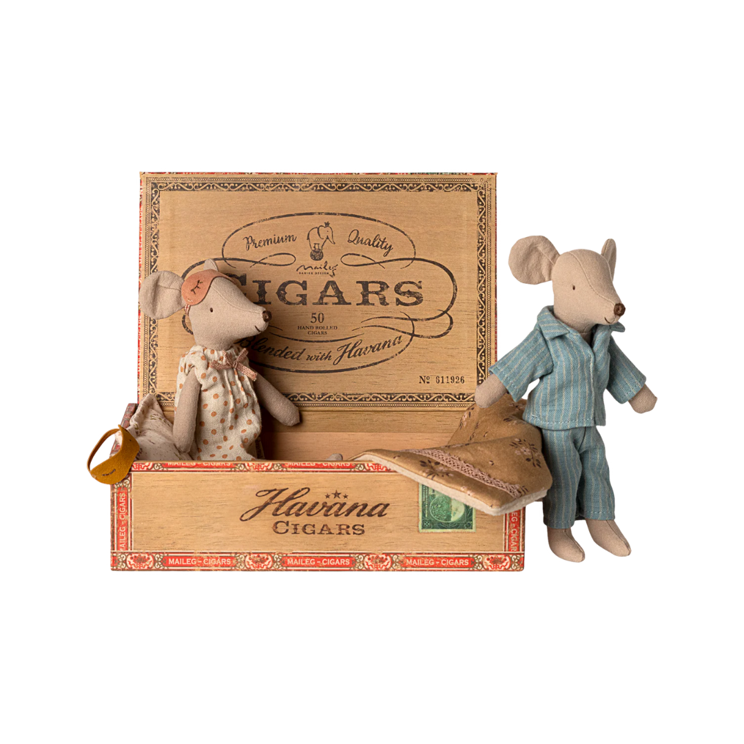 Mum & Dad Mice in Box