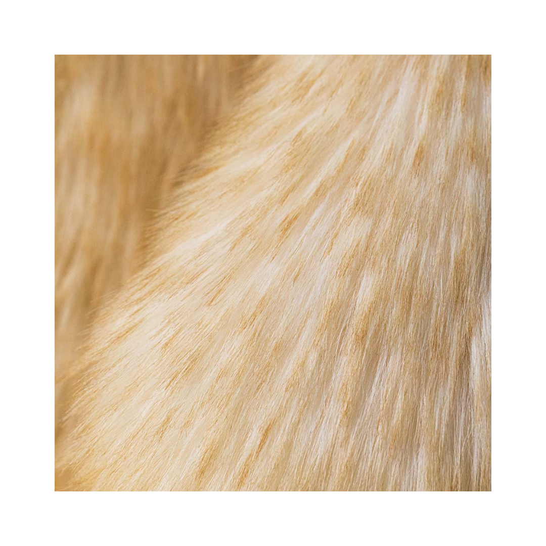 Springlowe Luxe Bunny