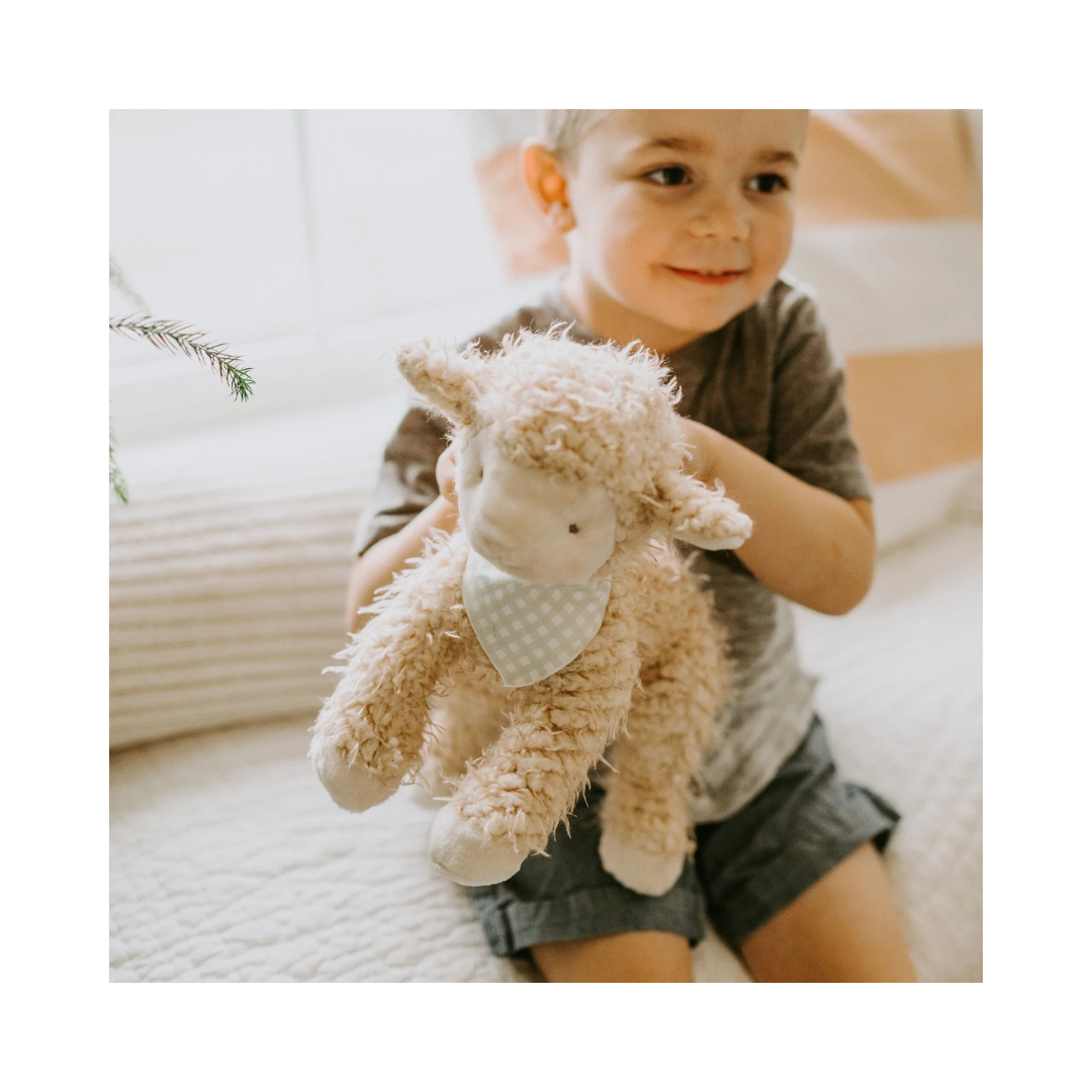 Shep the Sheep