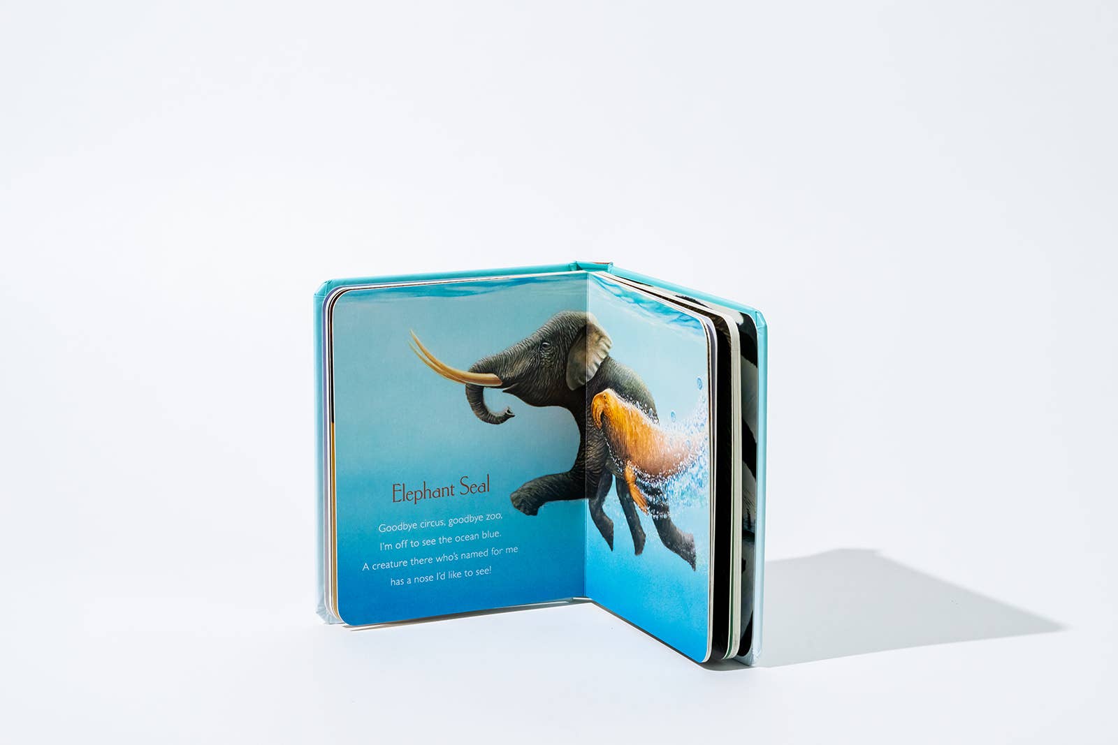 You Stole My Name: A Stocking Size Board Book for Baby