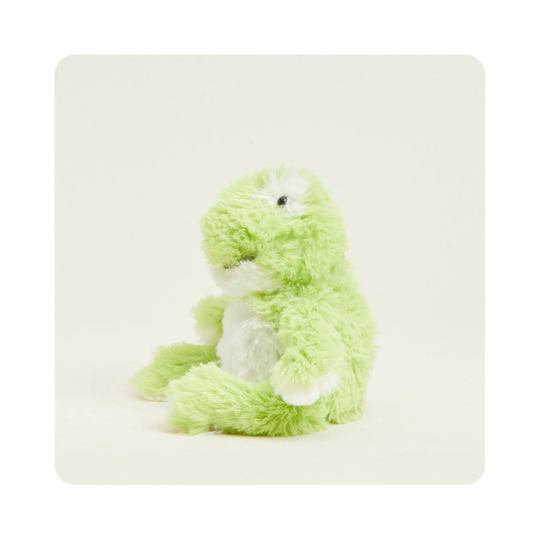 Frog Warmies Junior