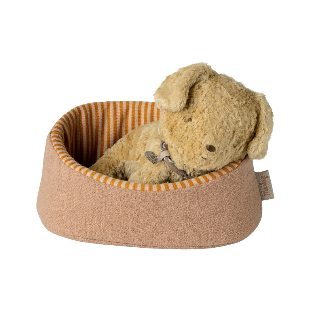 Pet Basket Powder
