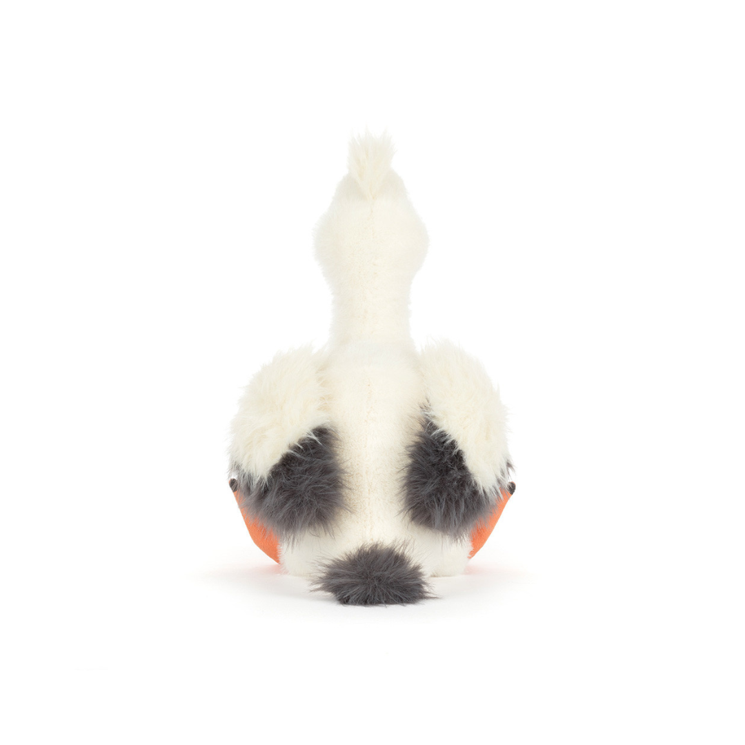 Keli Pelican