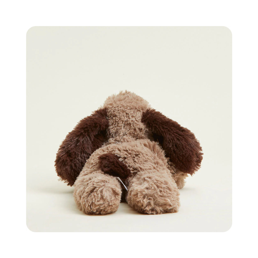 Brown With Dark Brown Ears Dog Warmies Junior