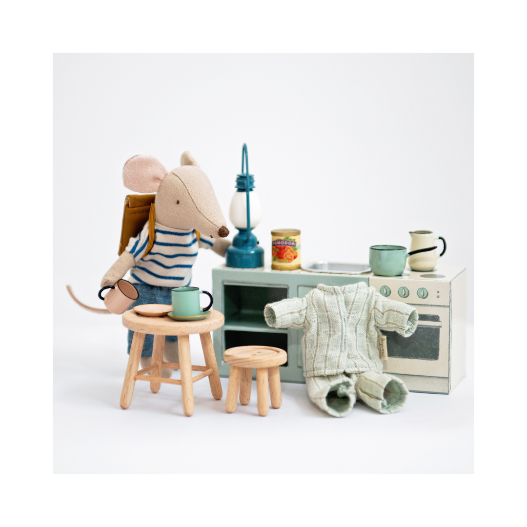 The Mouse Beginnings: Big Brother Starter Kit