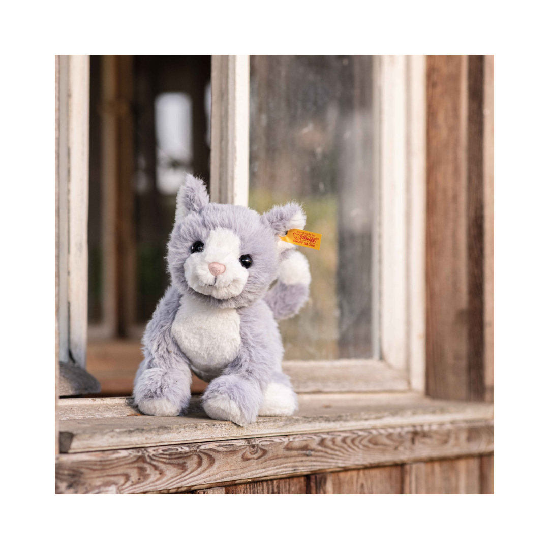 Cassie Grey Cat