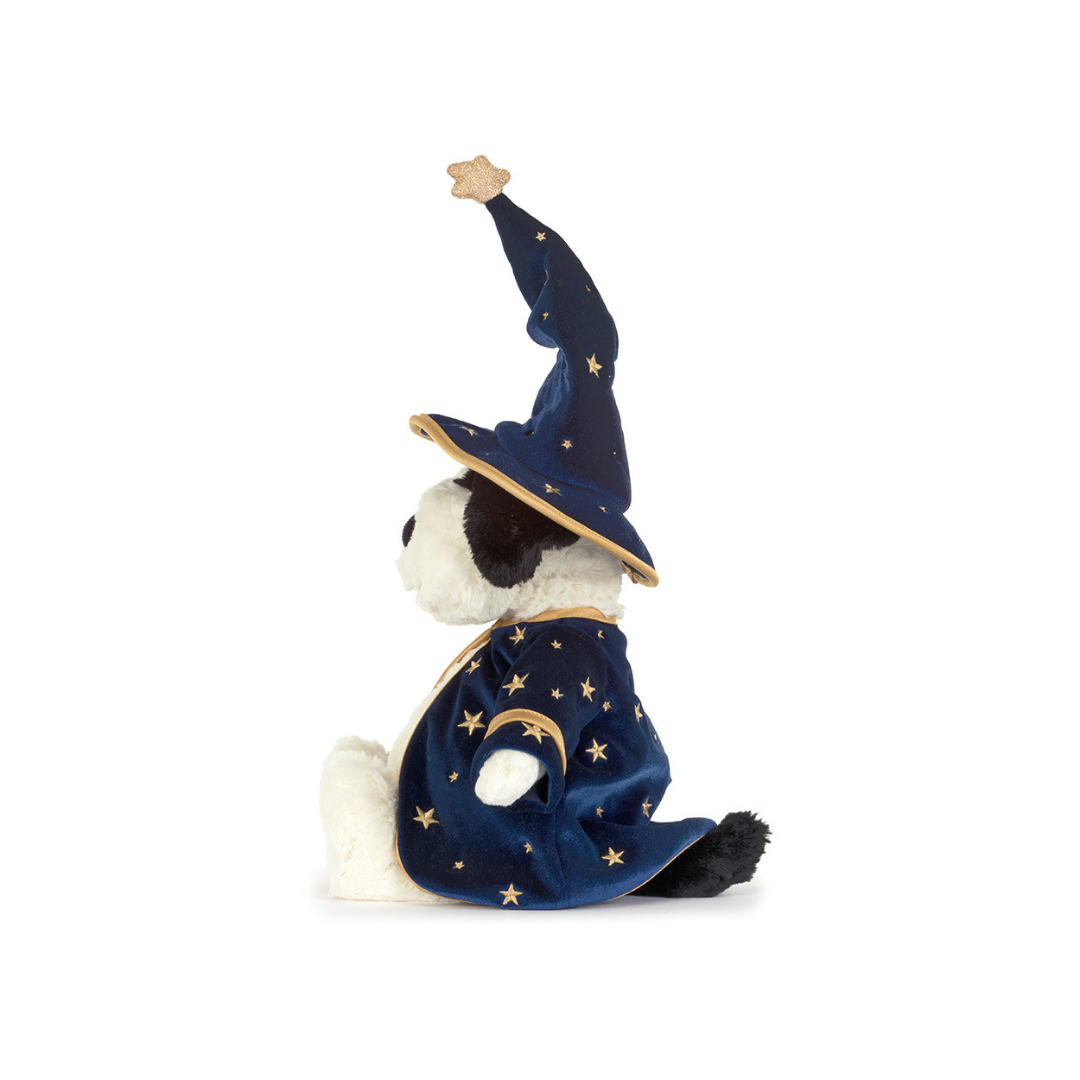 Rufferty Puppy Wizard Outfit