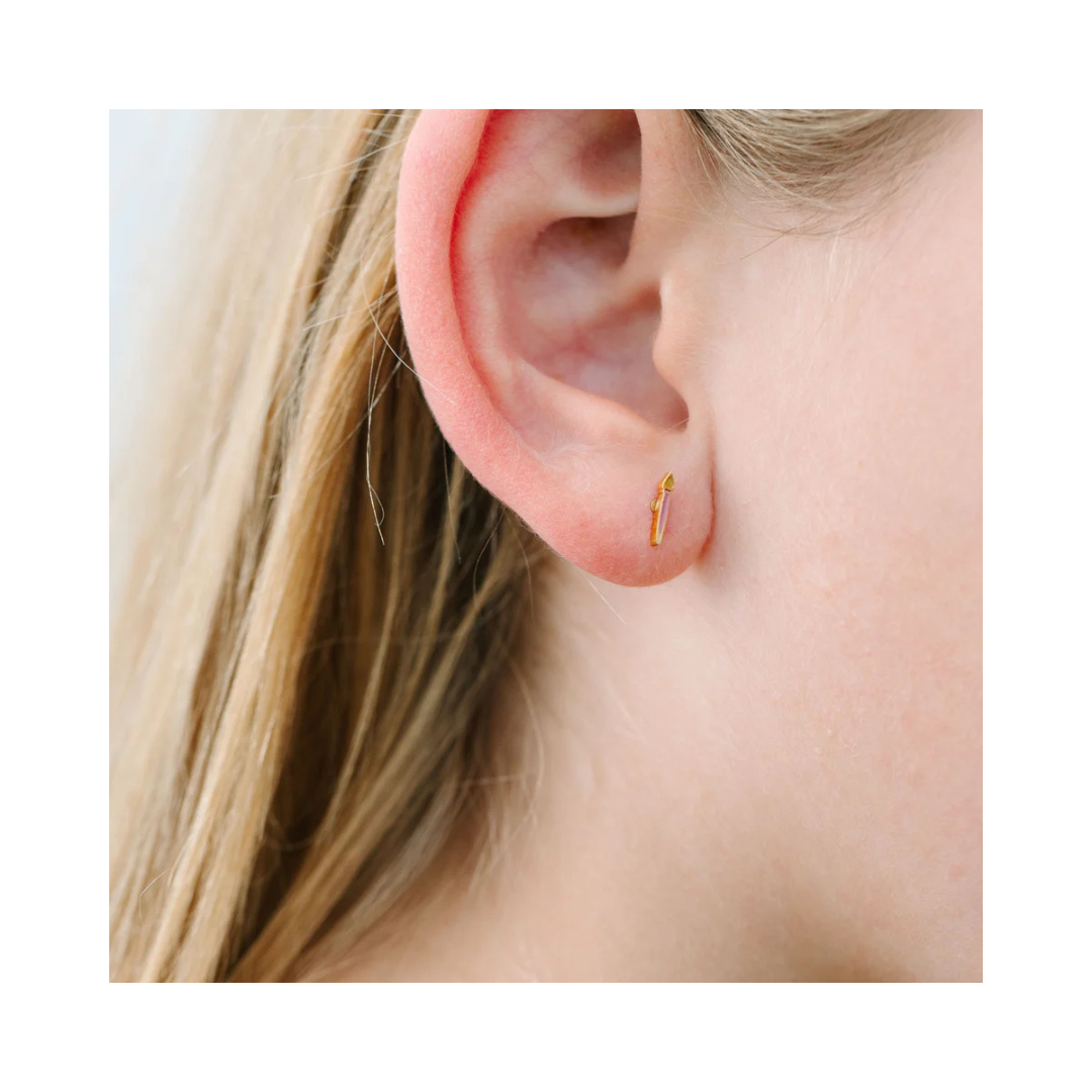 Paint Pallet Brush Screw Back Earring