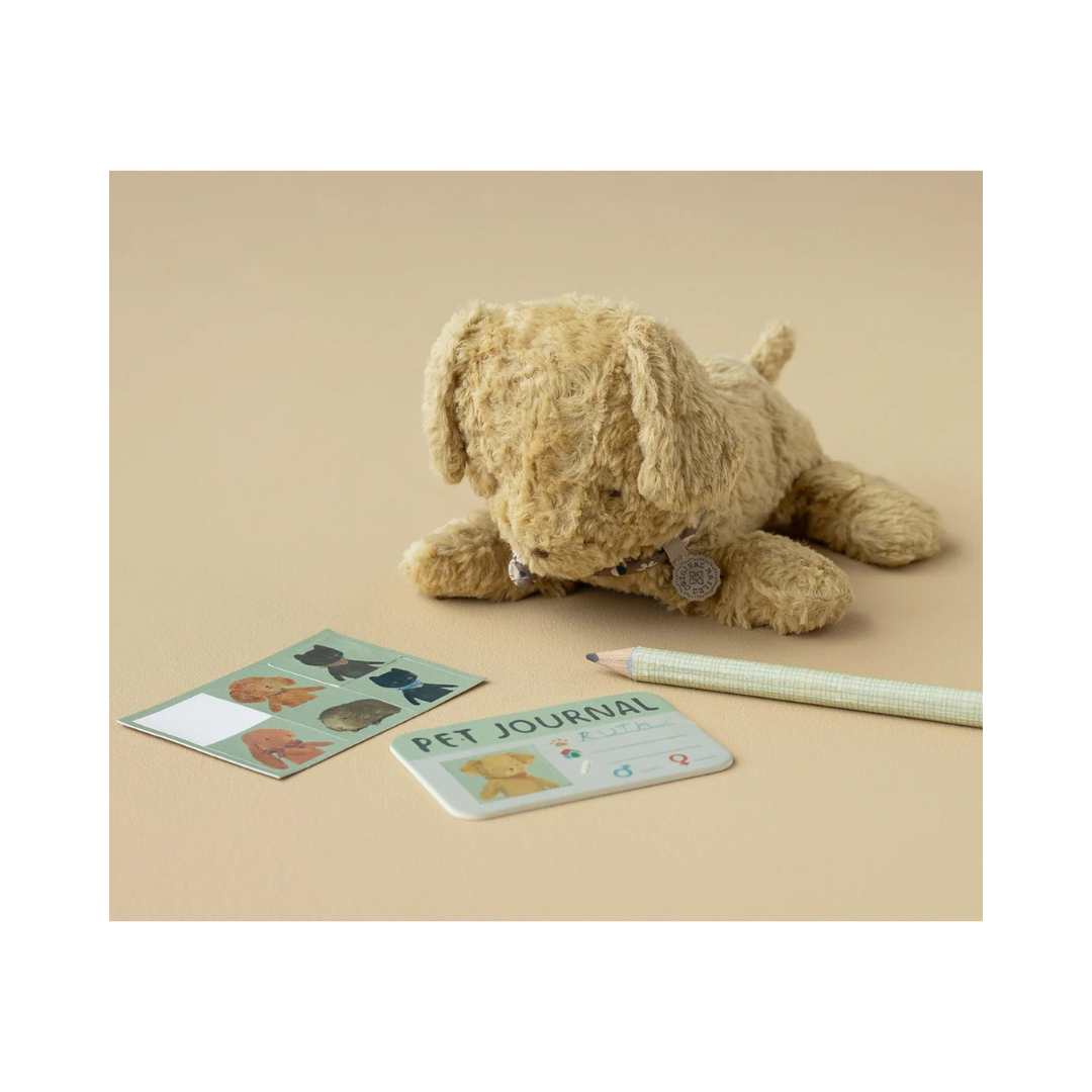 Pet Carrier, Dusty Blue