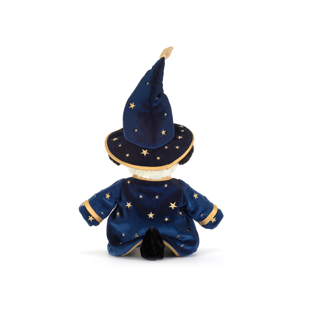 Rufferty Puppy Wizard Outfit