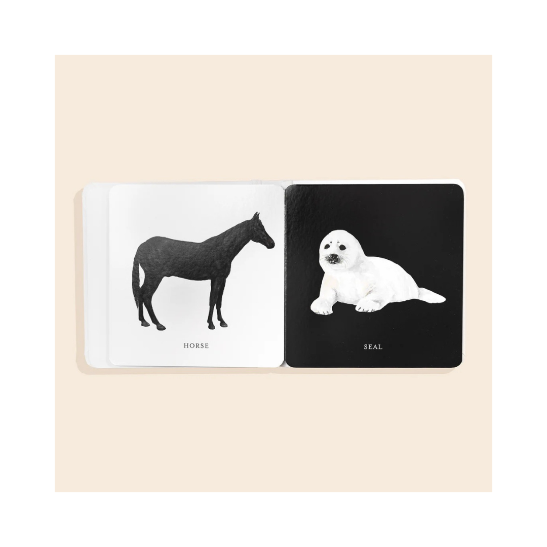 Black & White Contrast Book For Baby