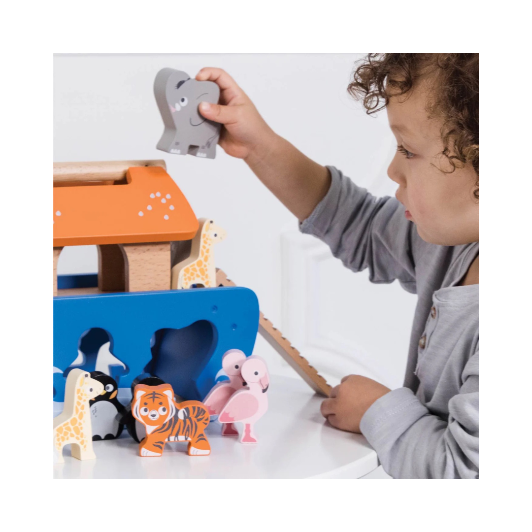 Noah's Ark Shape Sorter