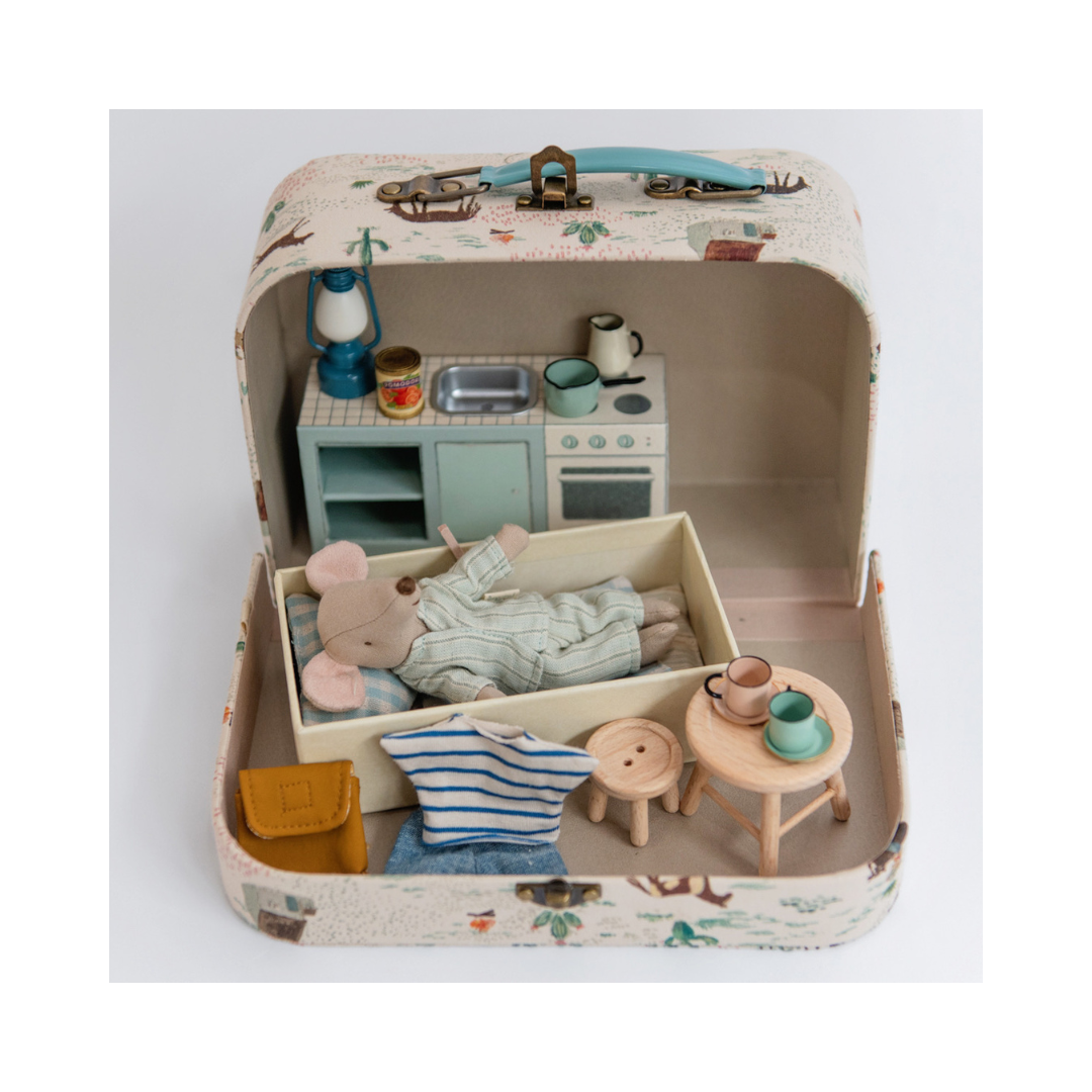The Mouse Beginnings: Big Brother Starter Kit