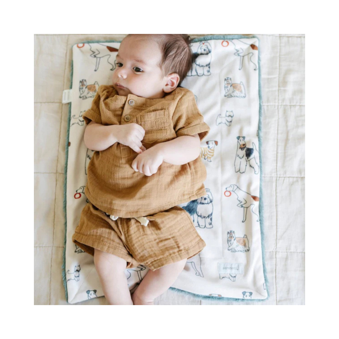 Dog Minky Lush Receiving Blanket 30x40