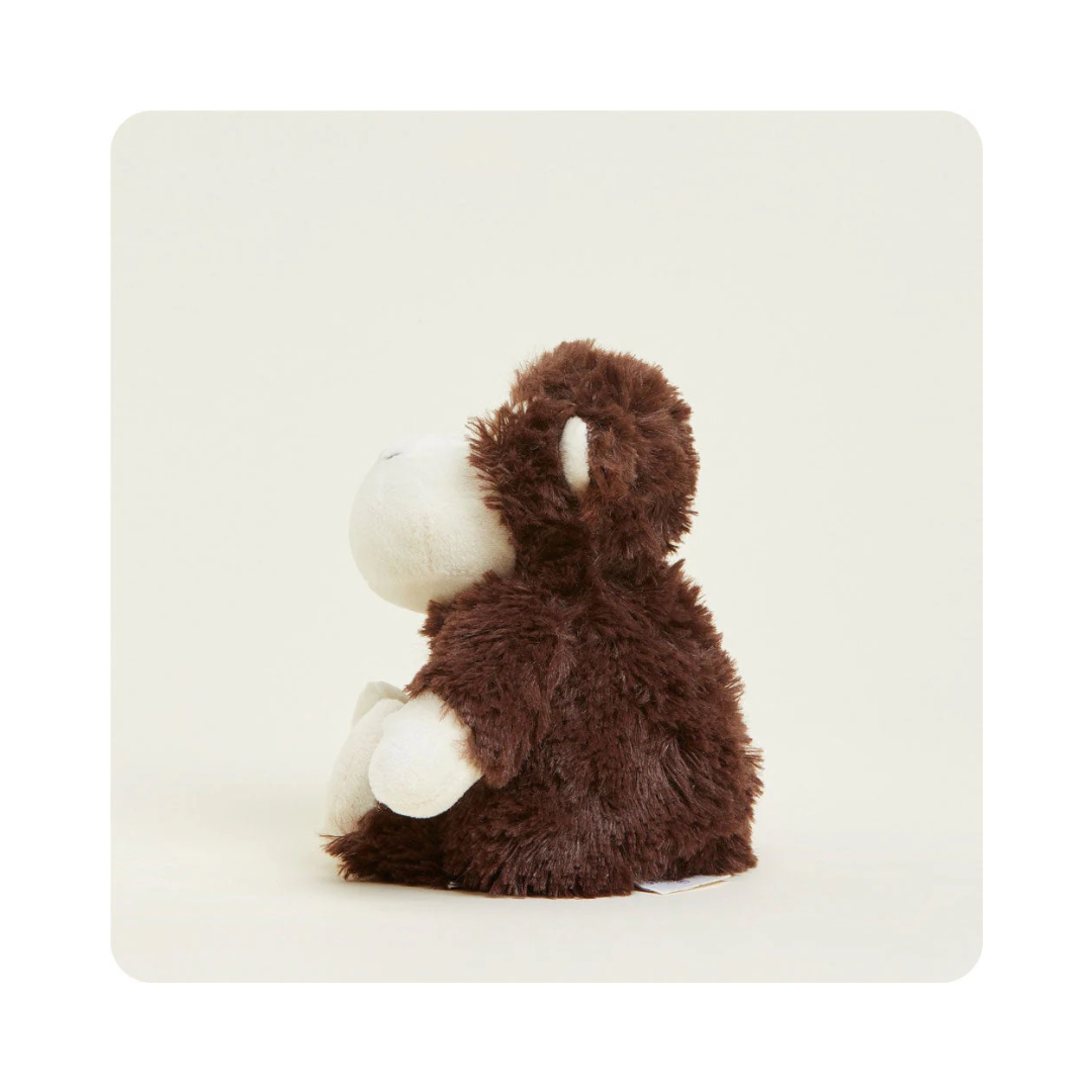 Monkey Warmies Junior