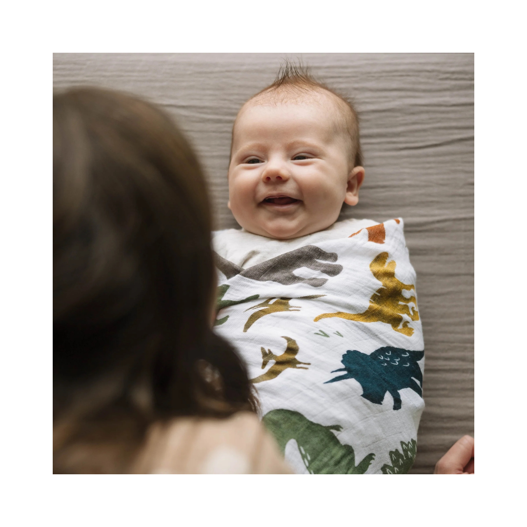 Cotton Muslin Swaddle Blanket - Dino Friends