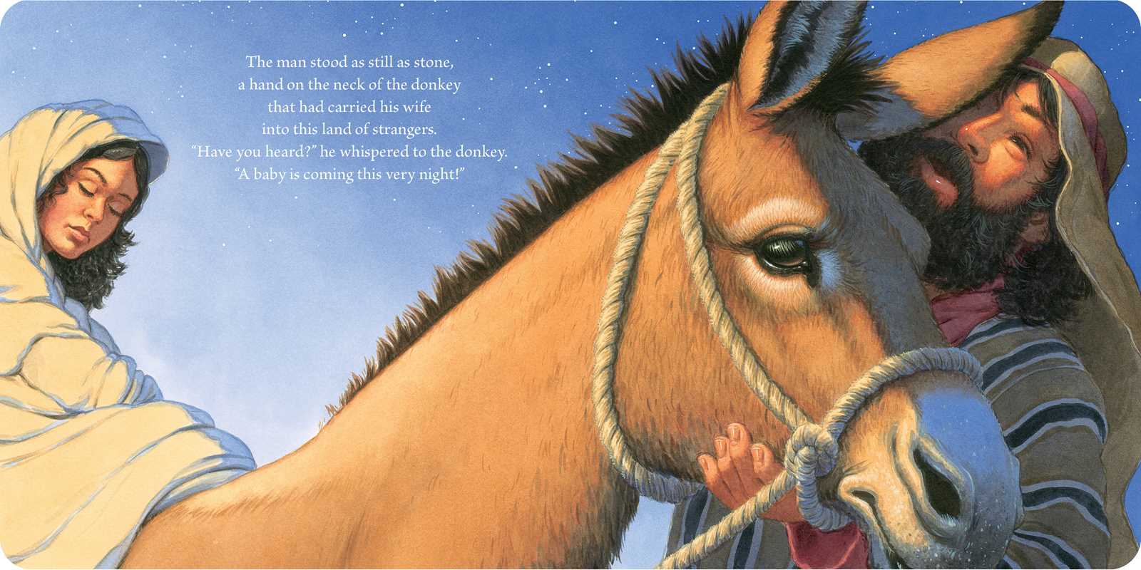 Christmas Baby by Marion  Dane Bauer: Board Books; 34 pages / English