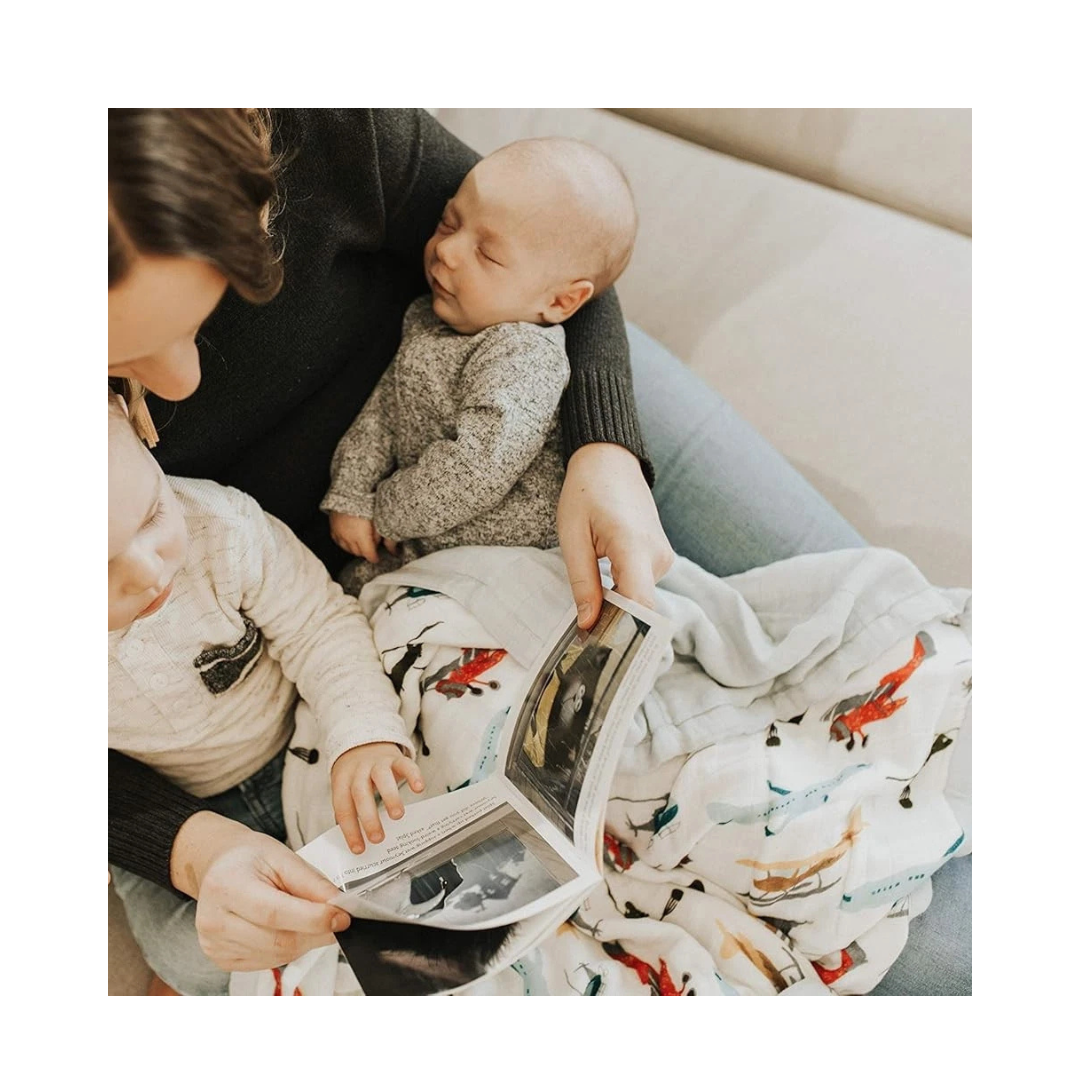 Air Show Deluxe Swaddle