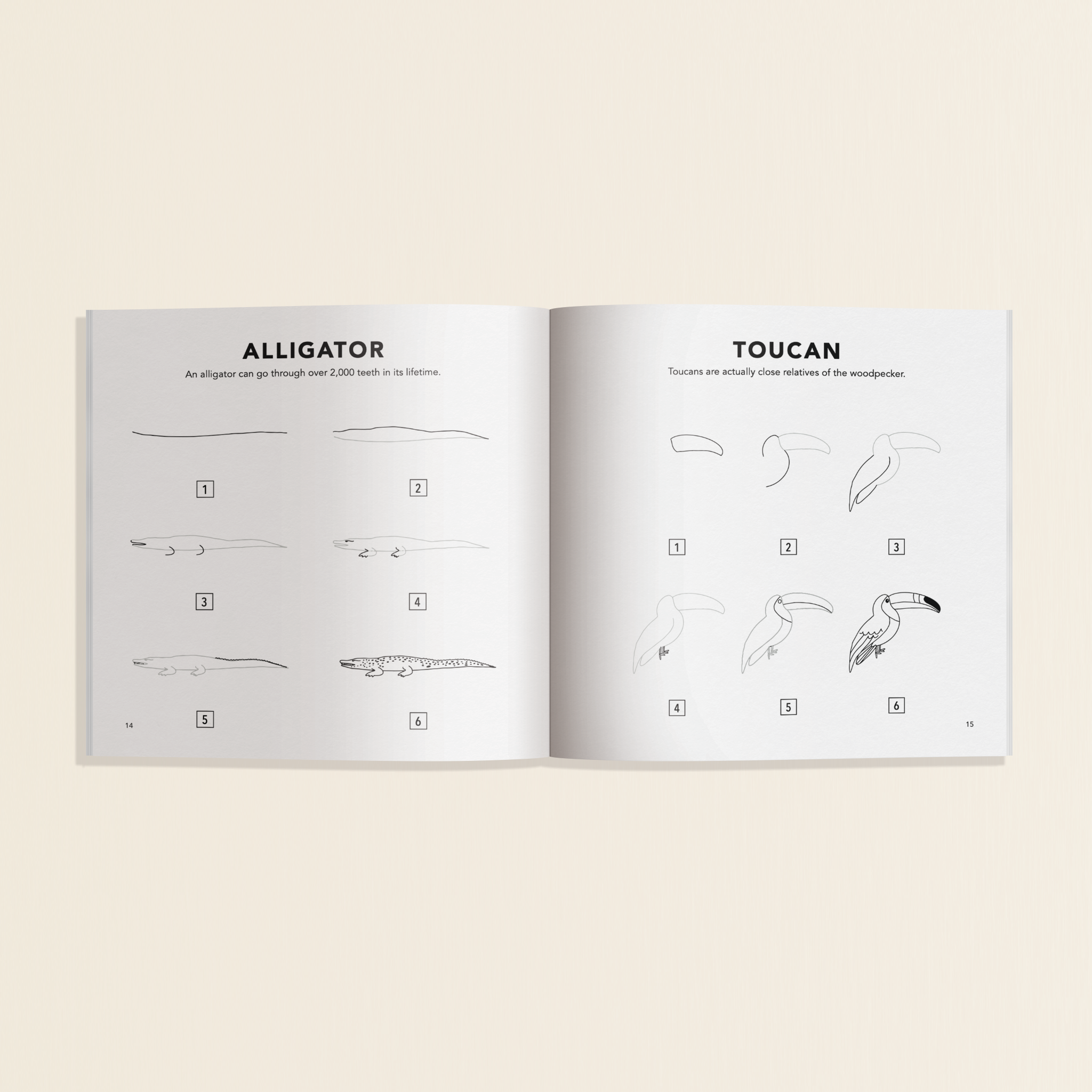 All The Animals: A Stocking Stuffer Size Art Book