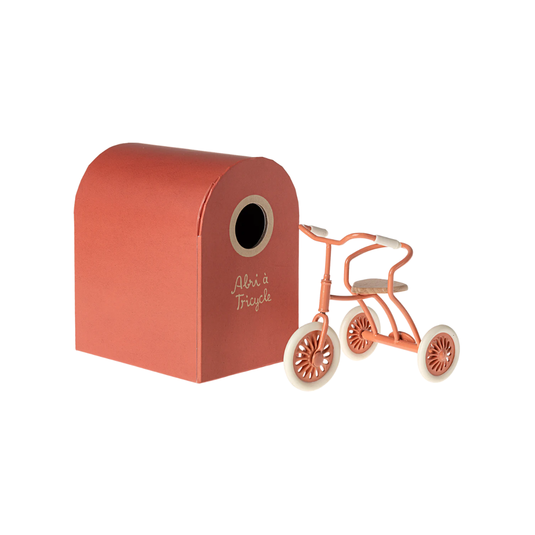 Abri a Tricycle