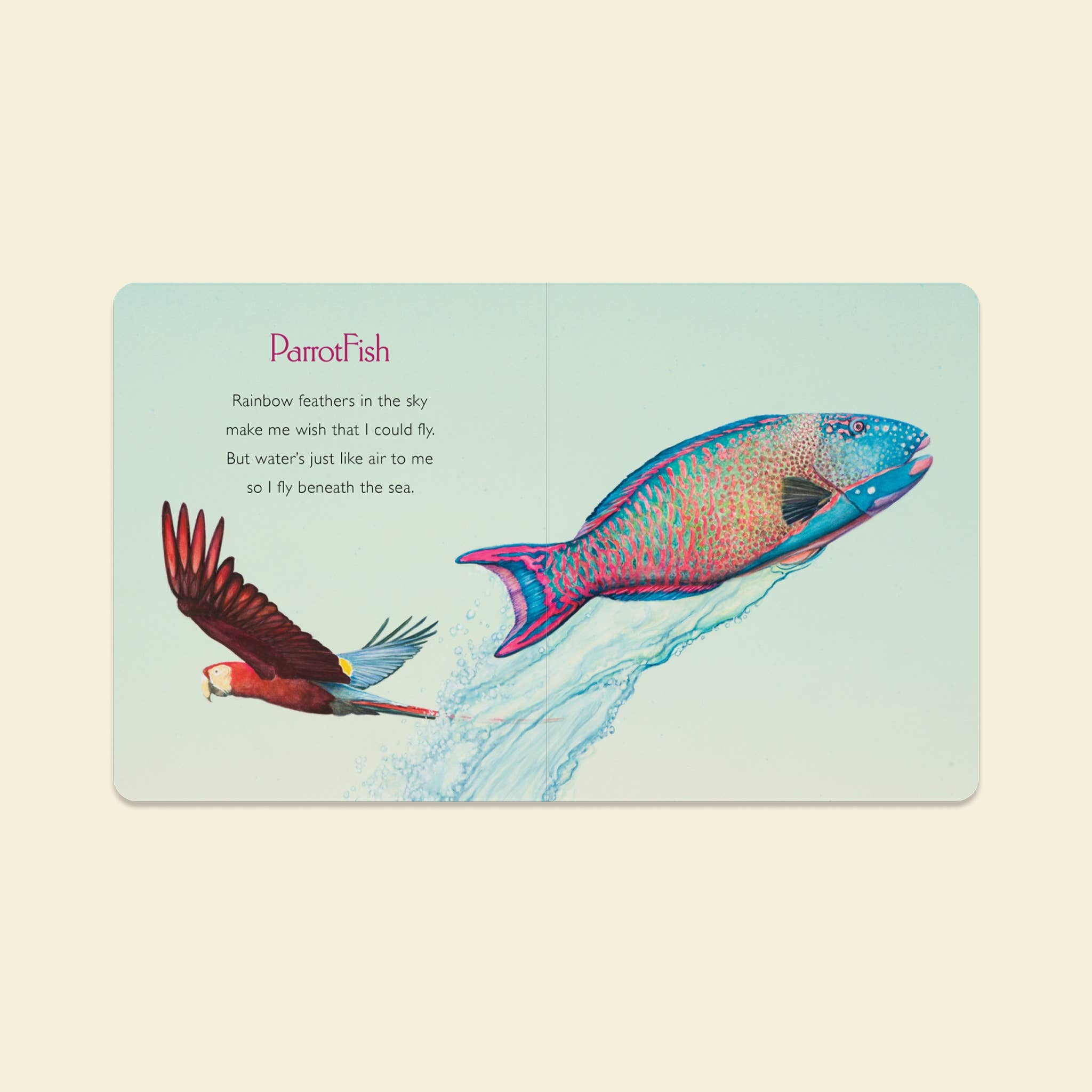 You Stole My Name: A Stocking Size Board Book for Baby