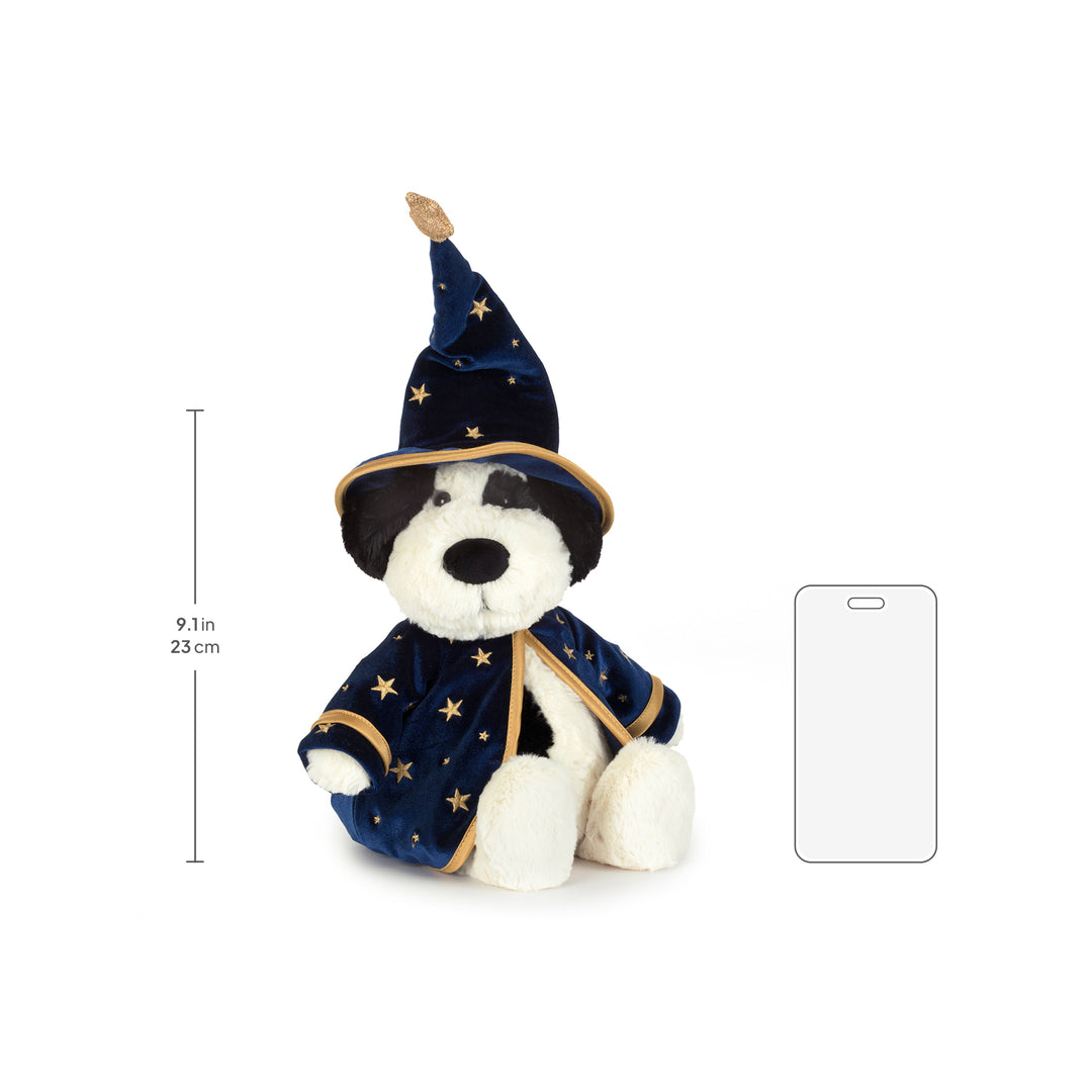 Rufferty Puppy 'Wizard' — gallery photo 6